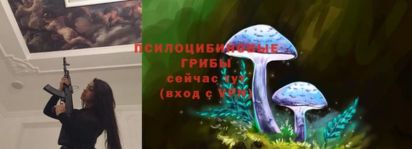 дживик Алексеевка