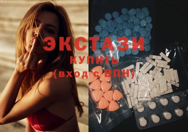 гашик Алексин