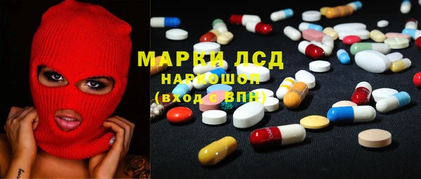 индика Алзамай