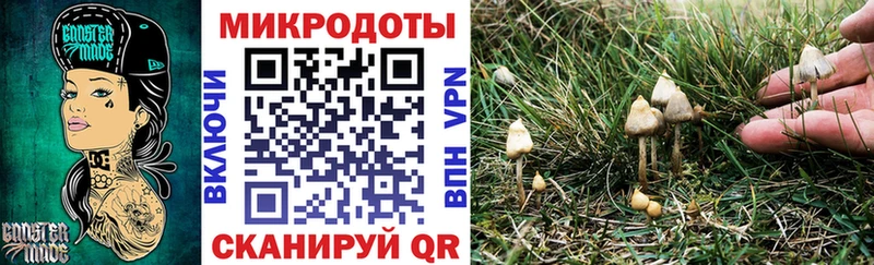 Галлюциногенные грибы GOLDEN TEACHER что такое Темрюк