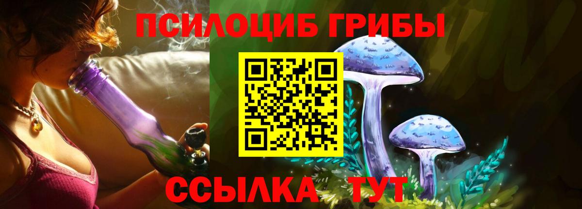 Галлюциногенные грибы GOLDEN TEACHER  купить  сайты  Вход с VPN  Темрюк  Галлюциногенные грибы ЛСД 